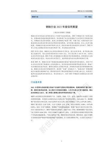 新世纪评级-钢铁行业2023年度信用展望-21页