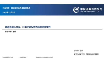 新能源行业月度投资观点:能源赛道长且深,汇率逆转投资优选高估值弹性-20221205-中航证券-21页