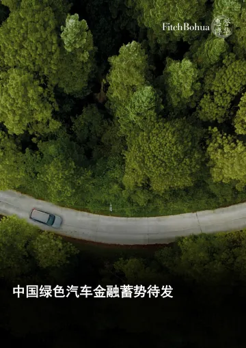 中国绿色汽车金融蓄势待发-12页