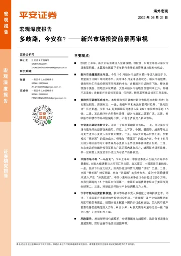 宏观深度报告：新兴市场投资前景再审视，多歧路，今安在-20220621-平安证券-16页