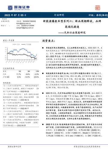 汽车行业深度研究:新能源爆款车型系列六,新品周期释放,品牌高端化提速-20220705-国海证券-42页