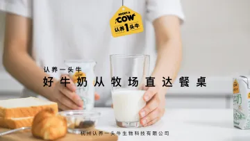 2021认养一头牛品牌合作案例【快消零售】【电商】【品牌营销】
