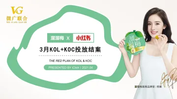 溜溜梅小红书KOLKOC投放结案 -21页