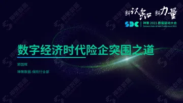 数字经济时代险企突围之道-33页