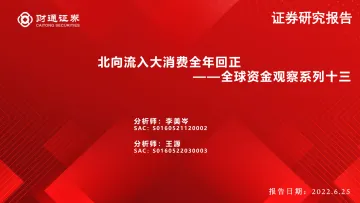 全球资金观察系列十三:北向流入大消费全年回正-20220625-财通证券-31页