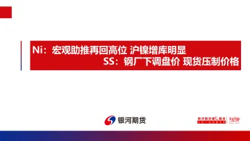 Ni:宏观助推再回高位,沪镍增库明显,SS,钢厂下调盘价,现货压制价格-20220816-银河期货-29页