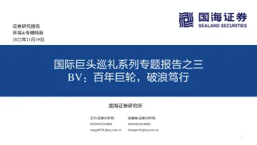 环保&专精特新行业国际巨头巡礼系列专题报告之三:BV,百年巨轮,破浪笃行-20221119-国海证券-73页