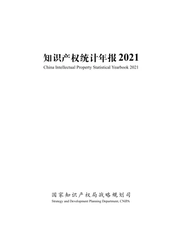 国家知识产权局战略规划司-知识产权统计年报2021-166页-WN9