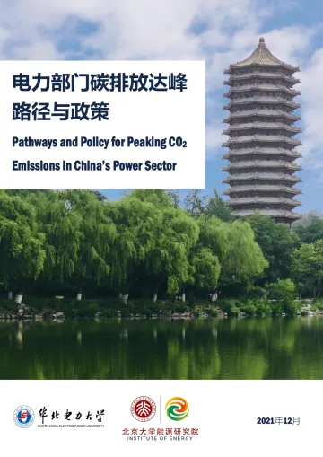 电力部门碳排放达峰路径与政策-81页