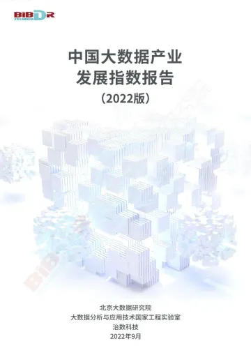 2022年中国大数据产业发展指数报告-32页
