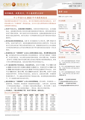 中小市值行业2022年中期策略报告:经济触底,政策发力,中小盘投资正当时-20220623-招商证券-24页