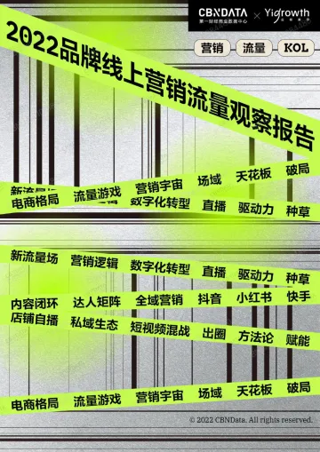 CBNData&应极数字-2022品牌线上营销流量观察报告(简版)_1