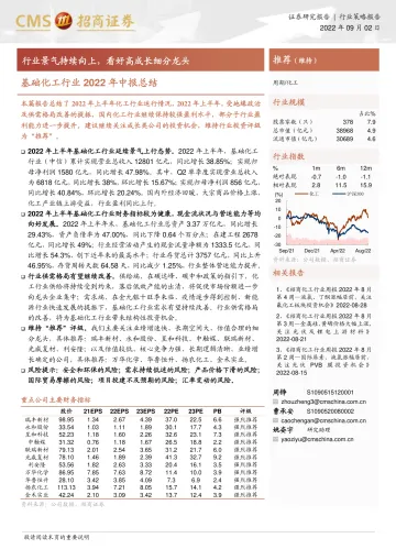 基础化工行业2022年中报总结：行业景气持续向上，看好高成长细分龙头-20220902-招商证券-25页