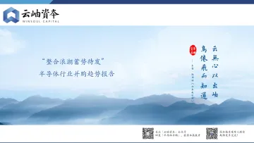 半导体行业并购趋势报告-云岫资本-2022-38页-WN9