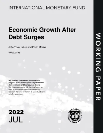IMF-债务激增后的经济增长(英)-2022.7-37页-WN8
