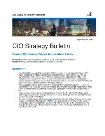 CIO Strategy Bulletin_2
