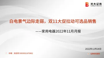 家用电器行业2022年11月月报:白电景气边际走弱,双11大促拉动可选品销售-20221228-光大证券-40页