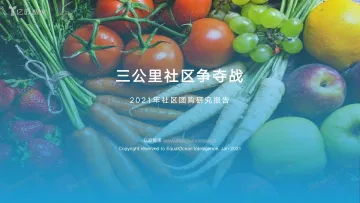三公里社区争夺战——2021年社区团购研究报告-202102