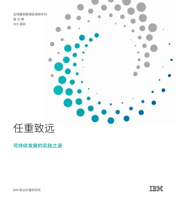 IBV+任重致远：可持续发展的实践之道-31页