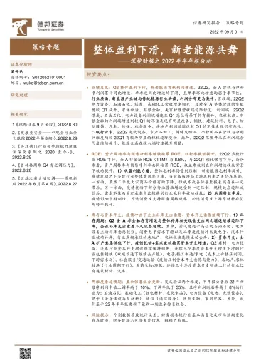 深挖财报之2022年半年报分析:整体盈利下滑,新老能源共舞-20220901-德邦证券-25页