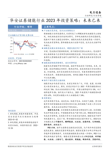 储能行业2023年投资策略:未来已来-20230106-华安证券-46页