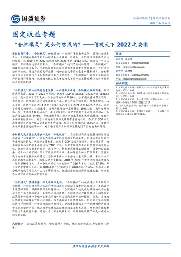 债观天下2022之安徽:“合肥模式”是如何练成的?-20221223-国盛证券-46页