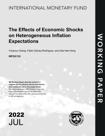 IMF-经济冲击对异质通货膨胀预期的影响(英)-2022.7-59页