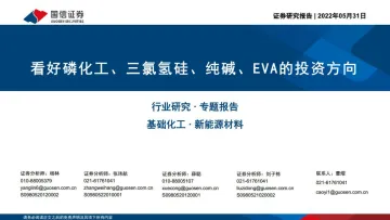 基础化工·新能源材料行业专题报告:看好磷化工、三氯氢硅、纯碱、EVA的投资方向-20220531-国信证券-41页