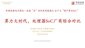电子行业走进“芯”时代系列深度之五十七“国产算力SoC ”:算力大时代,处理器SoC厂商综合对比-20220822-华西证券-48页