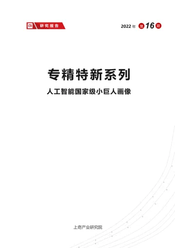 人工智能国家级小巨人画像-21页