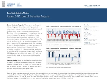 China Basic Materials Monitor_ August 2022_ One of the better Augusts(1)