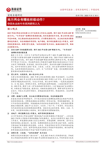 夺回失去的牛市系列研究之九：地方两会有哪些积极动作？-20230116-浙商证券-20页