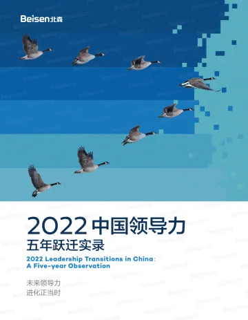 2022中国领导力五年跃迁实录-46页