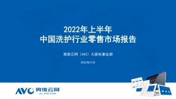 2022年上半年洗护行业零售市场报告-11页-WN8