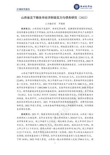新世纪评级-山西省及下辖各市经济财政实力与债务研究(2022)-29页