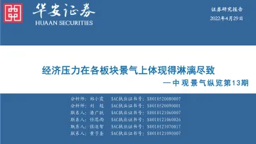 中观景气纵览第13期:经济压力在各板块景气上体现得淋漓尽致-20220429-华安证券-59页
