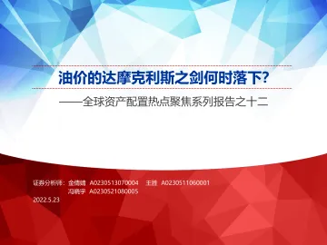 全球资产配置热点聚焦系列报告之十二:油价的达摩克利斯之剑何时落下?-20220523-申万宏源-35页