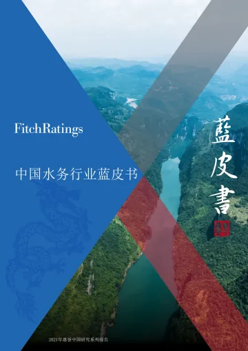 惠誉+中国水务行业蓝皮书-76页-WN8