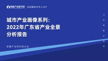 城市产业画像系列：2022年广东省产业全景分析报告-96页-WN8
