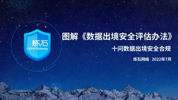 炼石-图解《数据出境安全评估办法》V1.0.0-101页