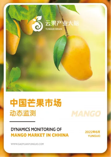 云果:中国芒果市场动态监测(2022年6月)-15页