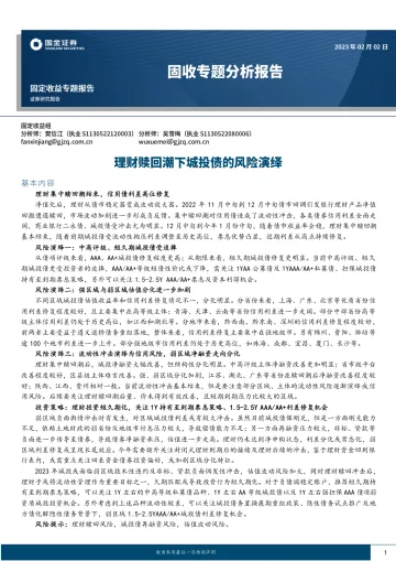 固收专题分析报告:理财赎回潮下城投债的风险演绎-20230202-国金证券-16页