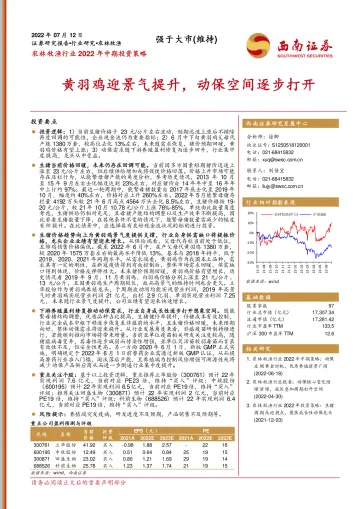 农林牧渔行业2022年中期投资策略:黄羽鸡迎景气提升,动保空间逐步打开-20220712-西南证券-26页