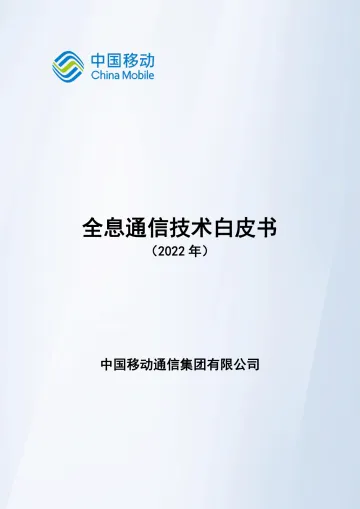 全息通信技术白皮书-31页