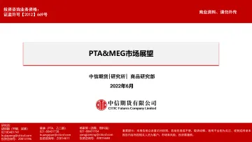 PTA&MEG市场展望-20220627-中信期货-22页
