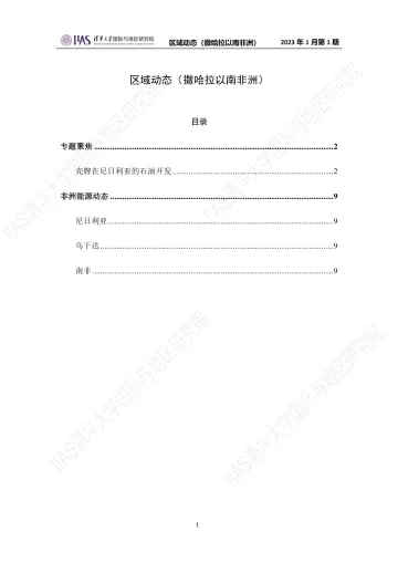 2023年1月第一期《区域动态》撒哈拉以南非洲地区-9页