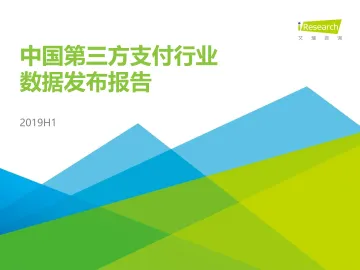 2019H1中国第三方支付行业数据发布报告_1
