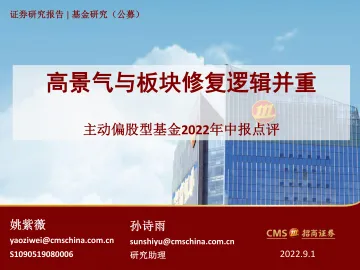 主动偏股型基金2022年中报点评:高景气与板块修复逻辑并重-20220901-招商证券-29页