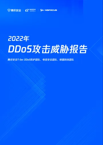 2022年全年-全球DDoS威胁报告-36页