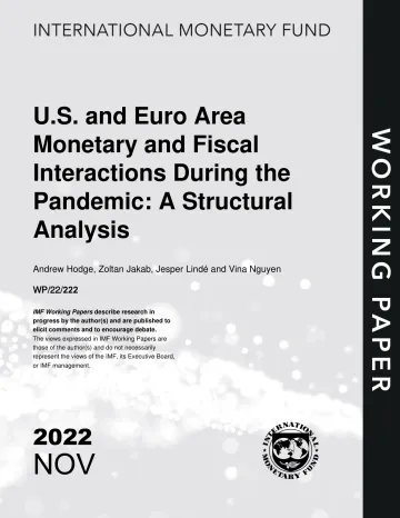 IMF-疫情期间美国和欧元区货币和财政互动的结构分析(英)-2022.11-52页